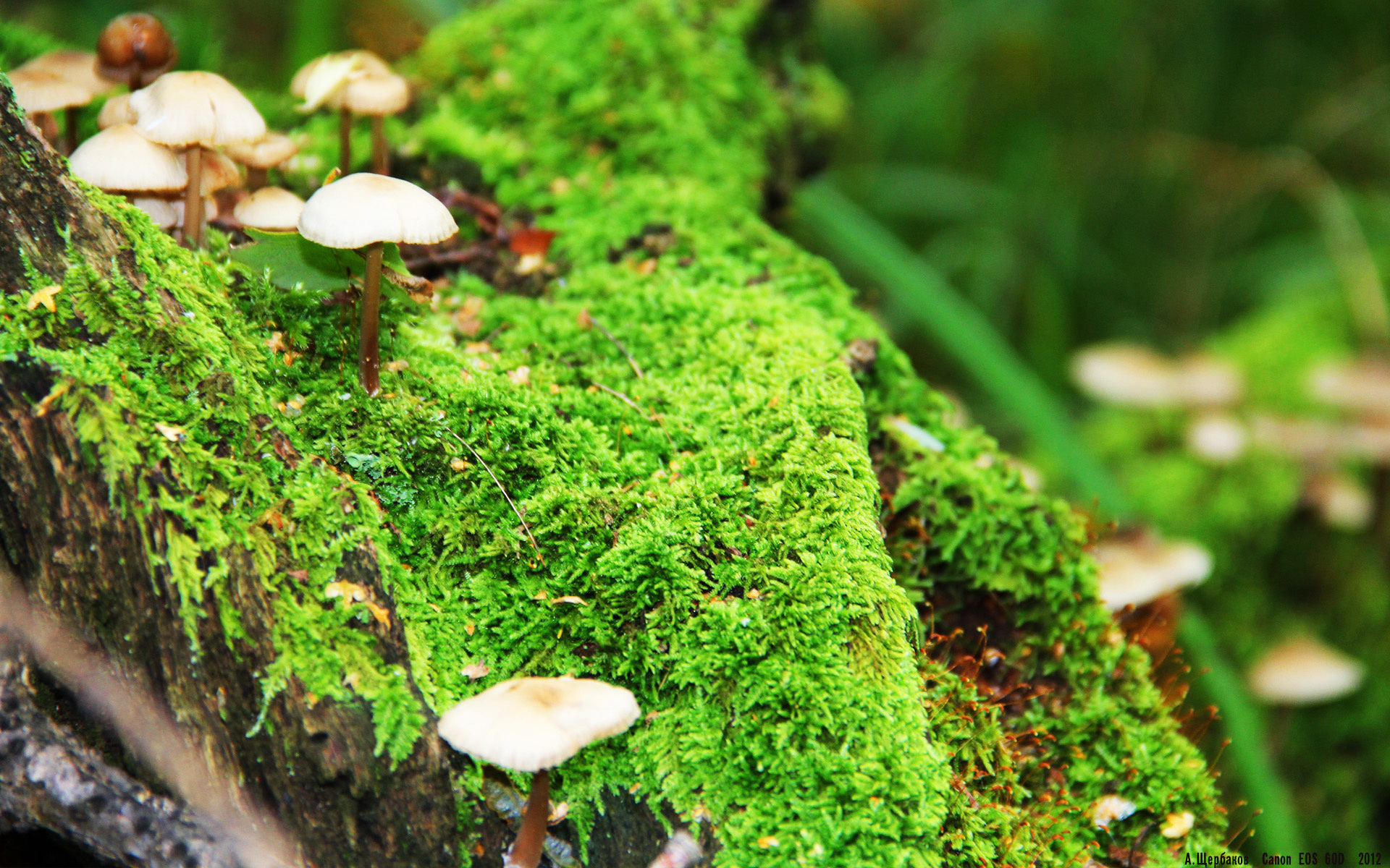 九游娱乐-全国沙滩足球联赛，海风之中燃烧青春激情，中国沙滩足球排名