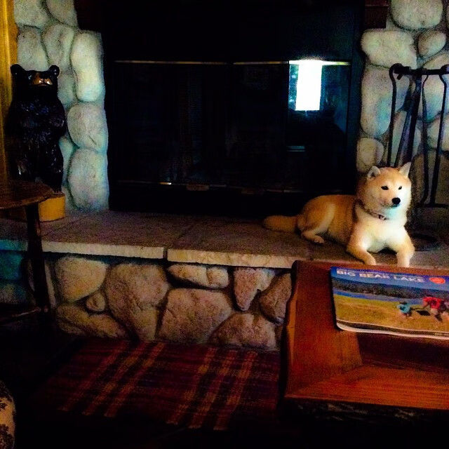 准冠军队伍：他们如何保持战斗力？