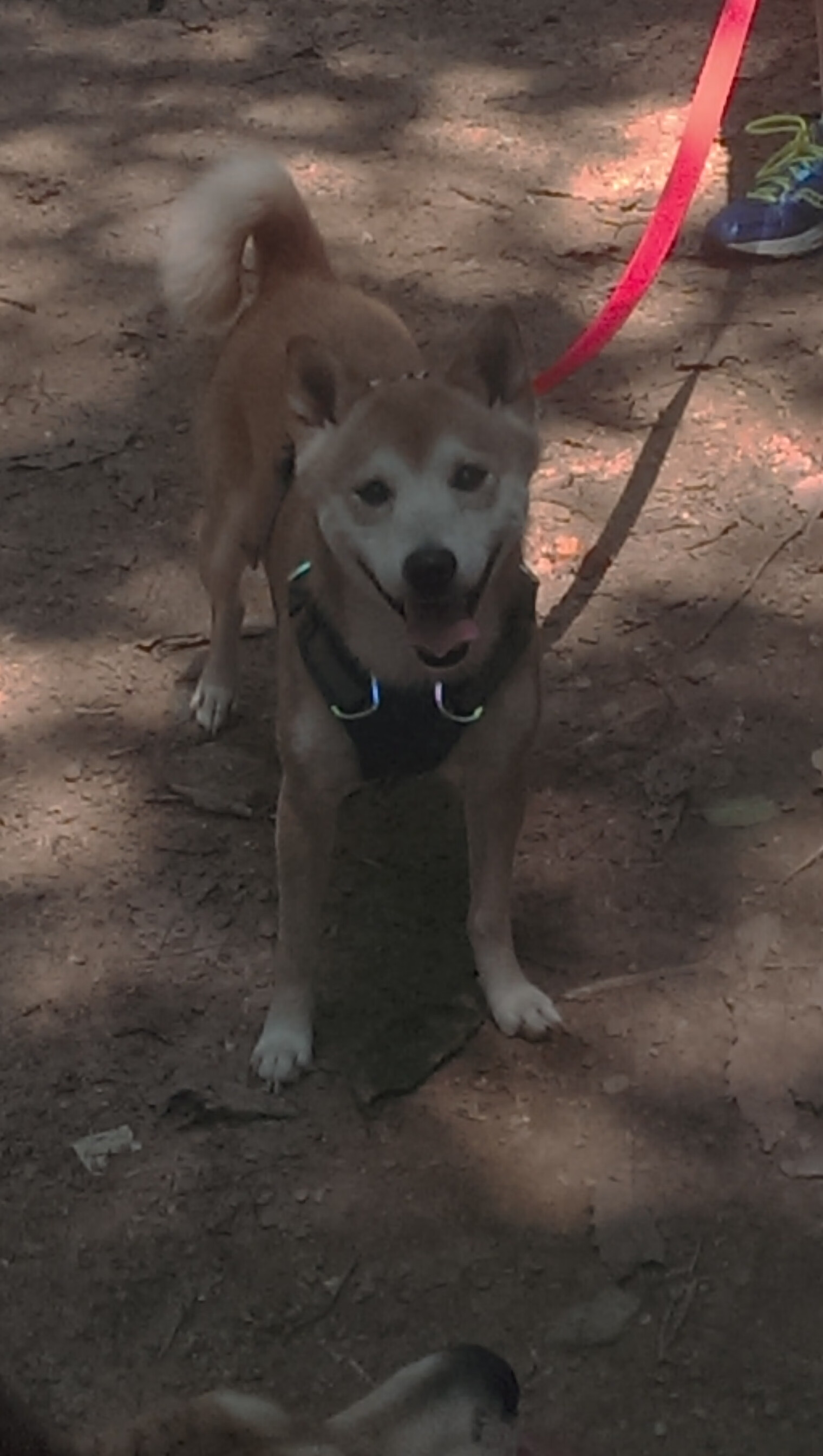 JiuyouAPP下载-地级市足球基础设施建设持续推进，赛场环境全面改善，足球基地建设标准