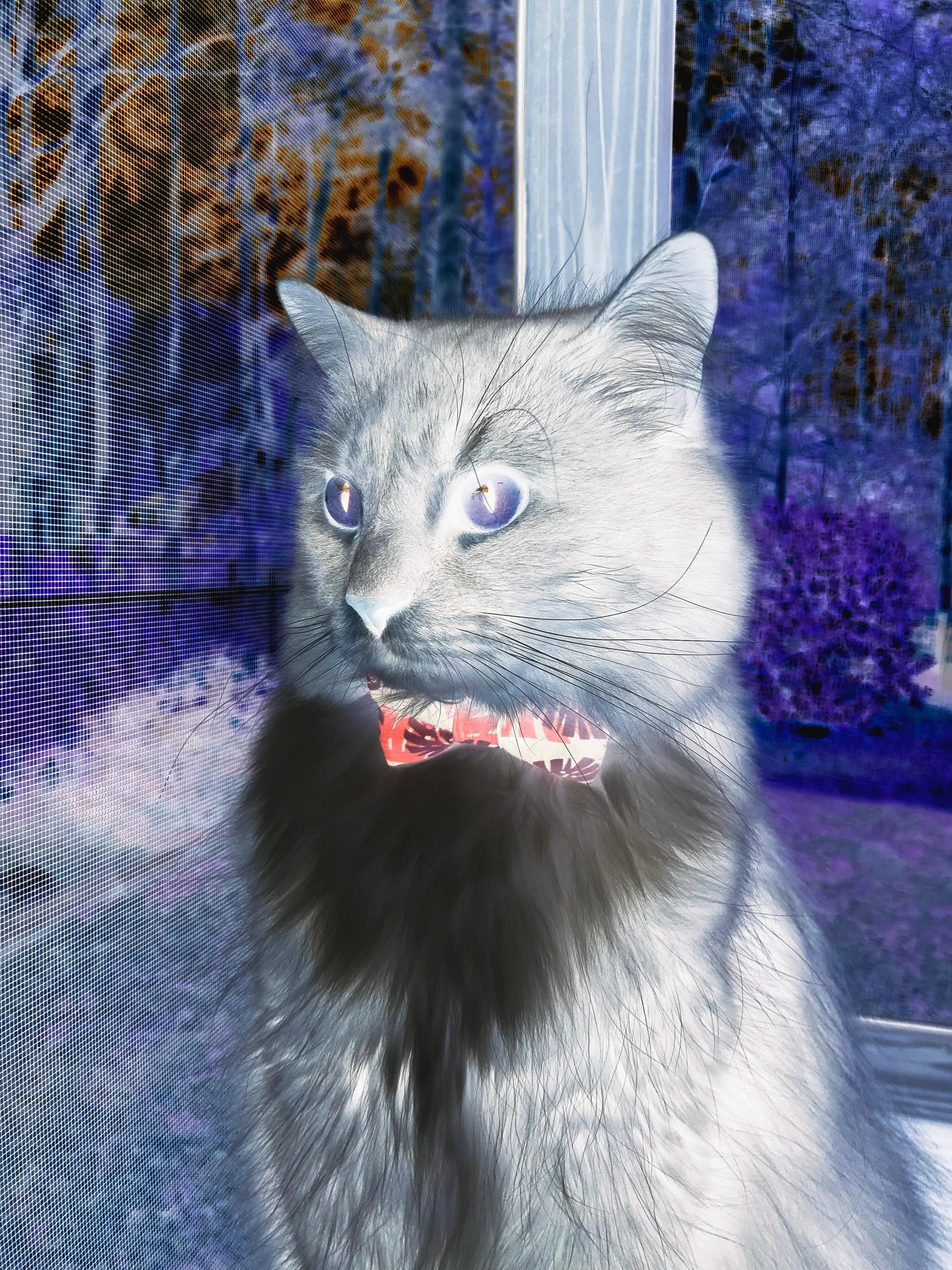 JIUYOU GAMING-技战术分析：本年度中国足球新趋势，中国足球展望